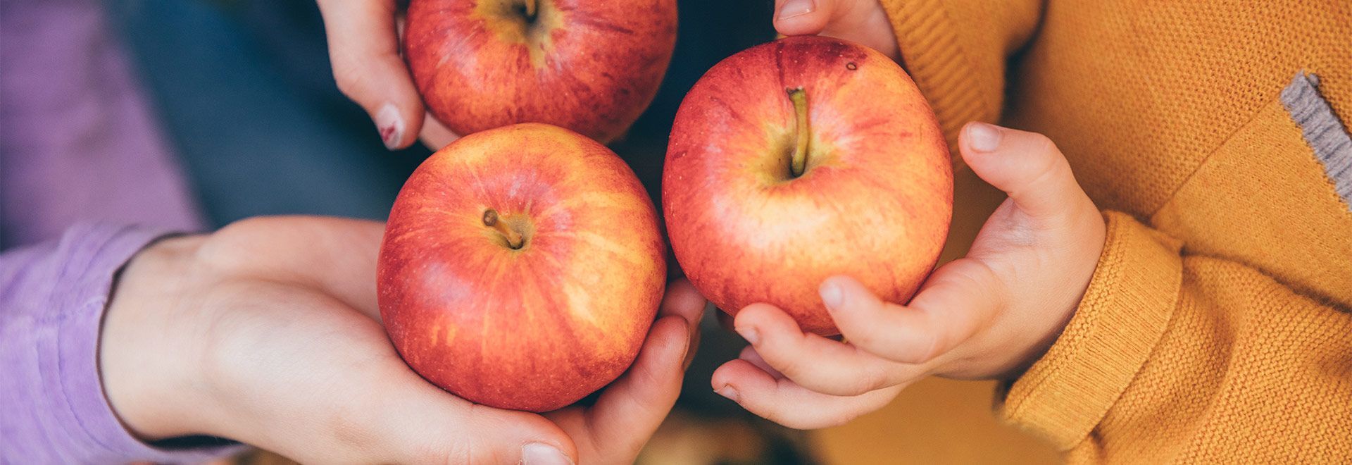 Sélection d’outils pour préparer des mets à base de pommes
