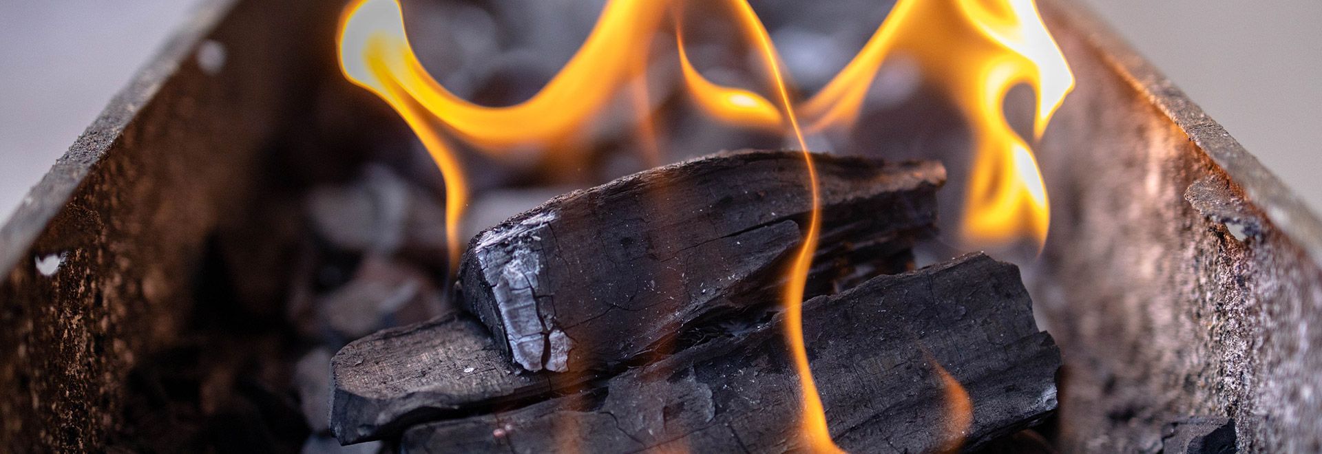 Charcoal and Briquettes: A Portrait of These Fuels