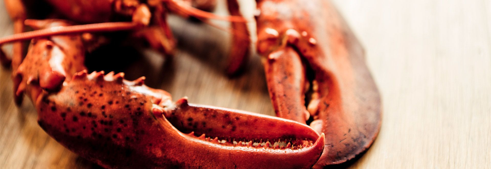 Conseils pour la sélection, la cuisson et la consommation de homard
