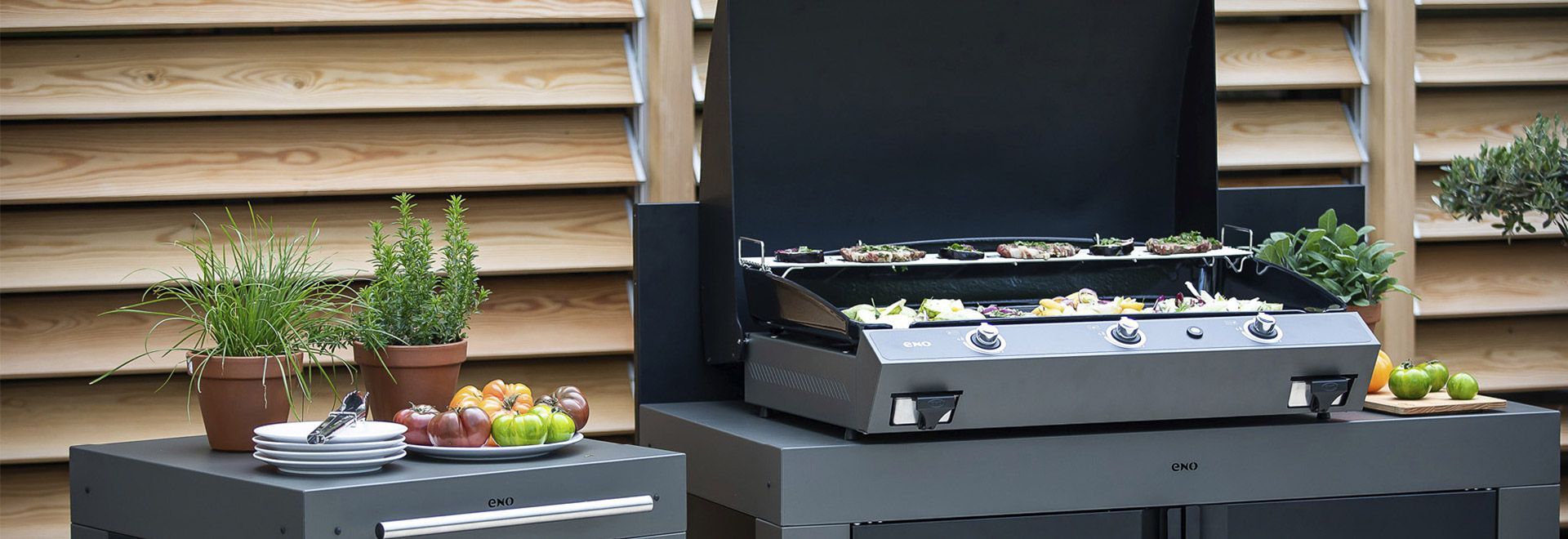 Découvrez le plaisir de cuisiner sur la plancha!