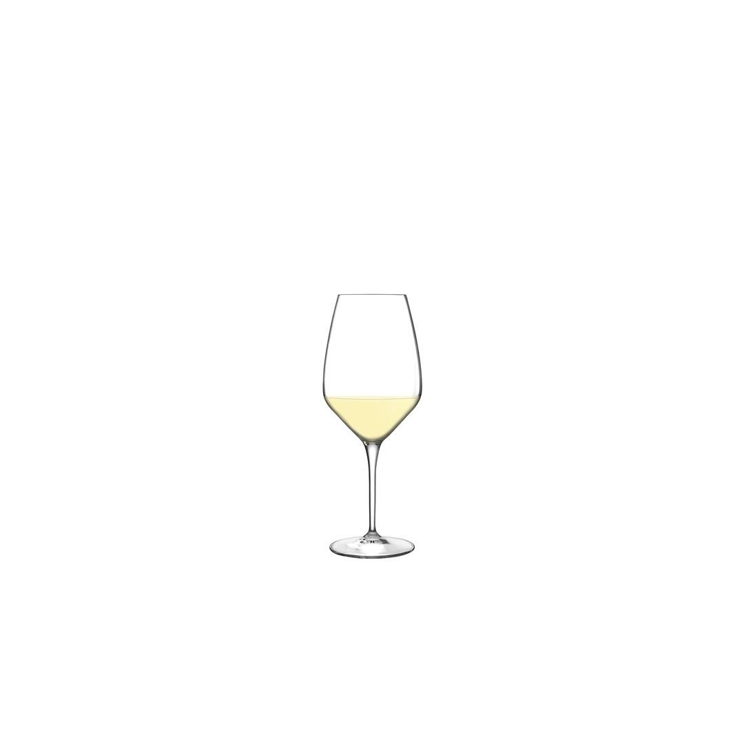 Set of Six 11.75 oz White Wine Glasses - Atelier