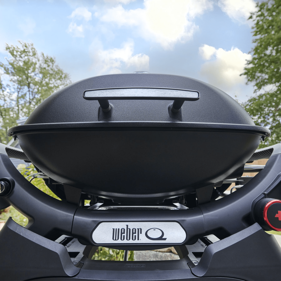 Q 2800N+ Propane Gas Grill with Stand - Midnight Black