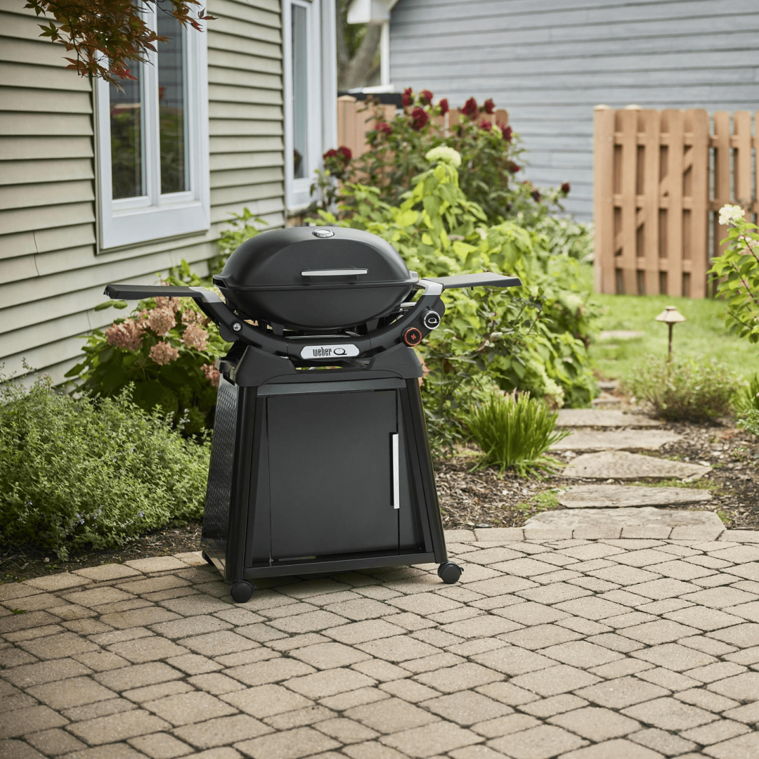 Q 2800N+ Propane Gas Grill with Stand - Midnight Black