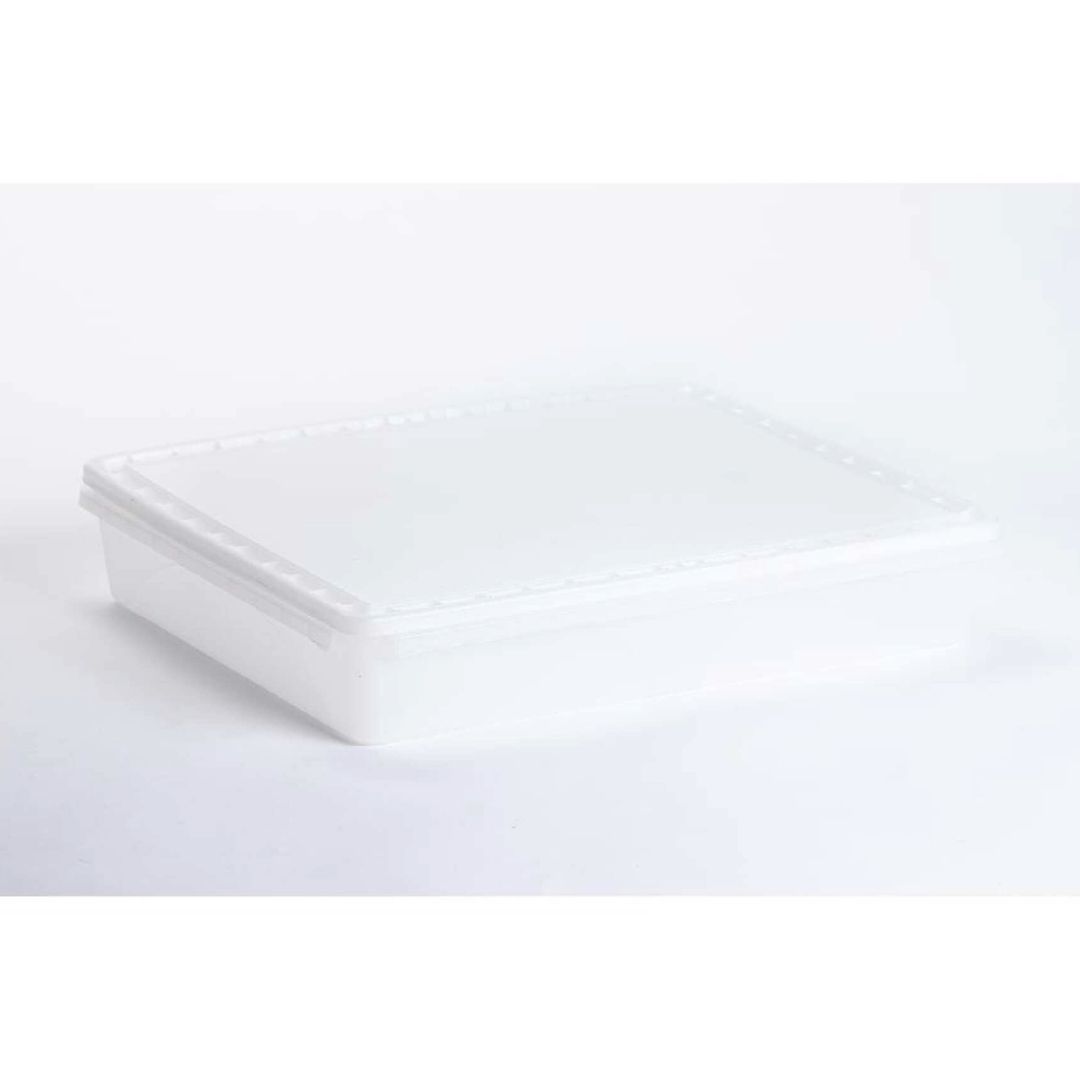 6 L Rectangular Container and Lid Set