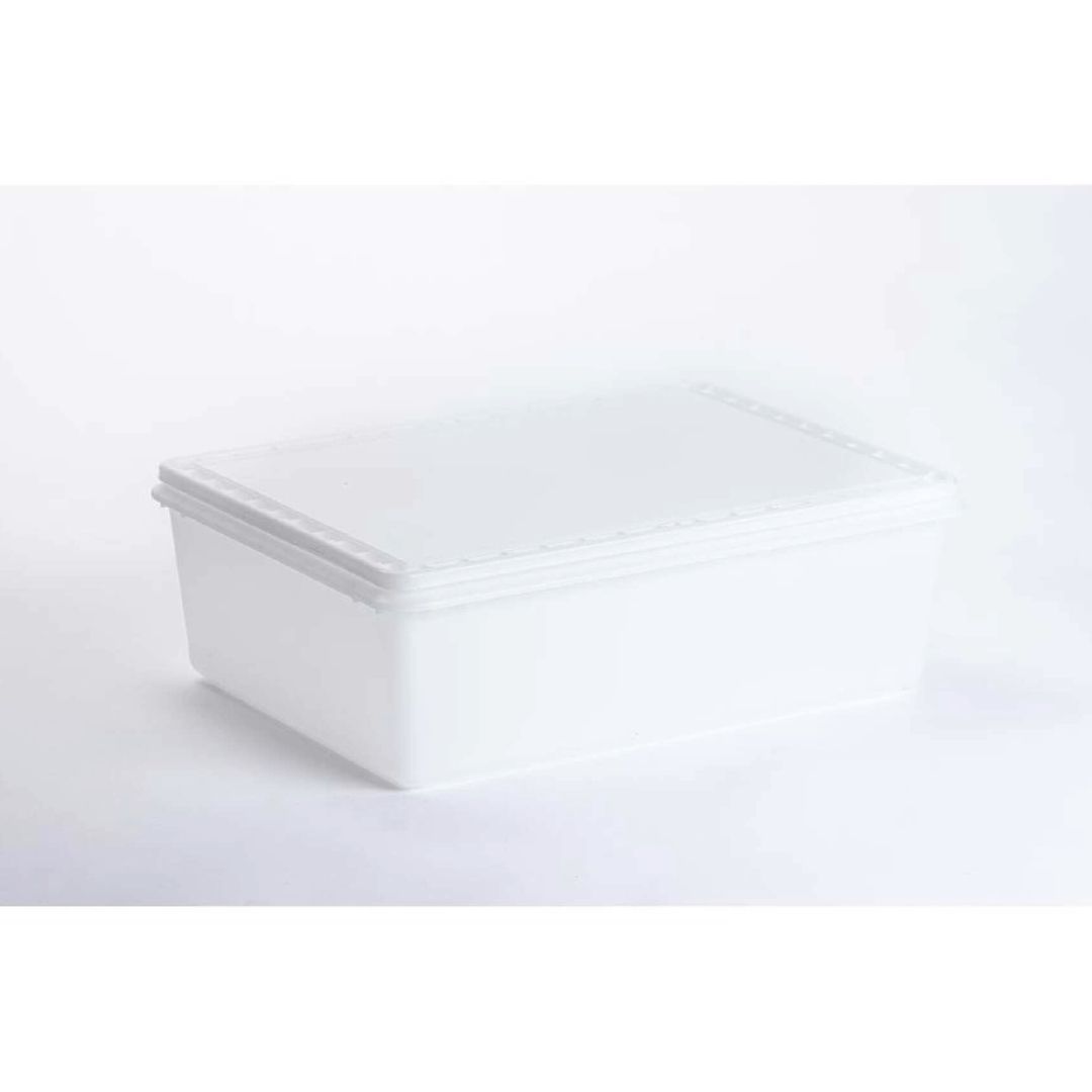 12 L Rectangular Container and Lid Set