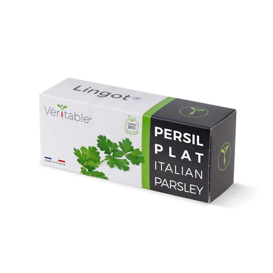 Veritable Lingot - Organic Italian Parsley 