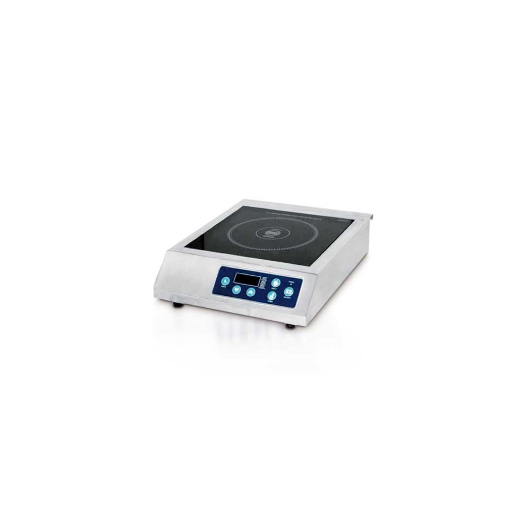 Countertop Induction Cooker - 208-240 V /3200 W