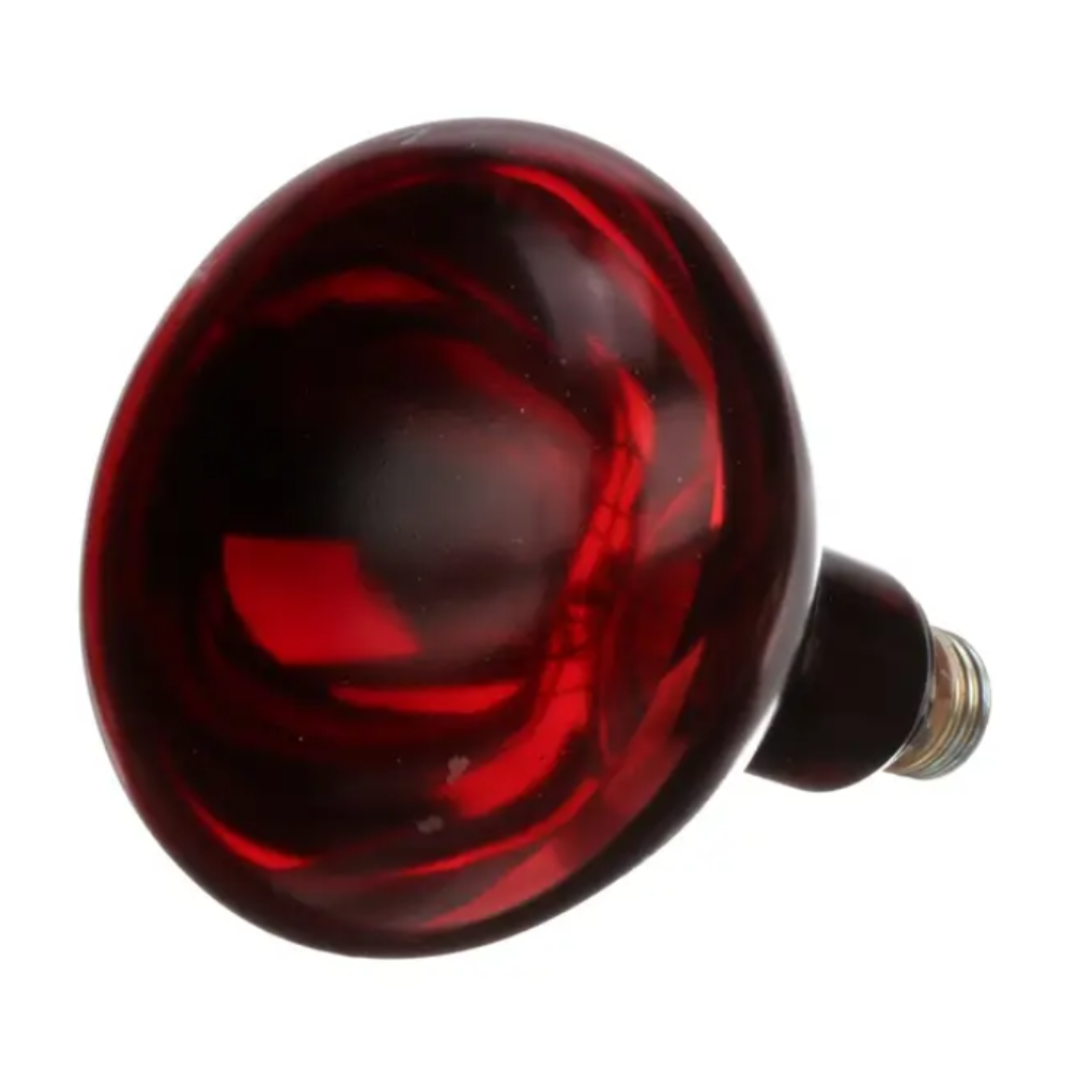 Red Uncoated Bulb 120V/375W