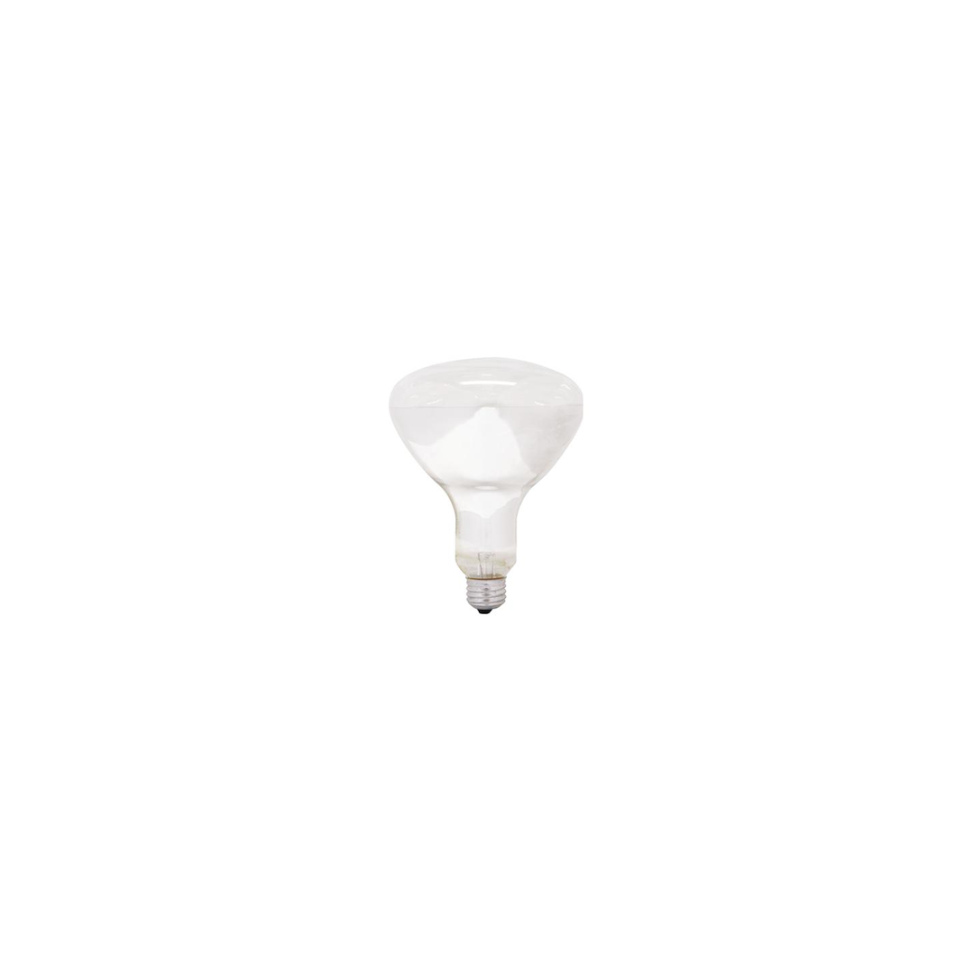 250W Incandescent Heat Lamp - White