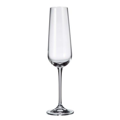 Ensemble de six flûtes à champagne 7,4 oz - Amundsen 