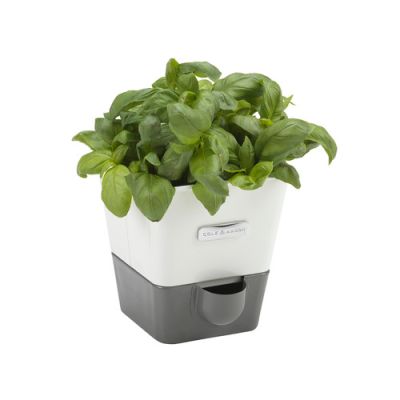 Jardinière à fines herbes avec hydratation automatique
