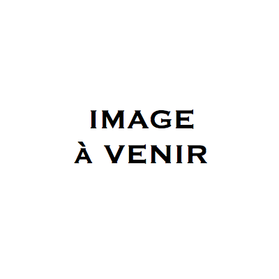 Filtre à sédiments pour système de filtration d'eau