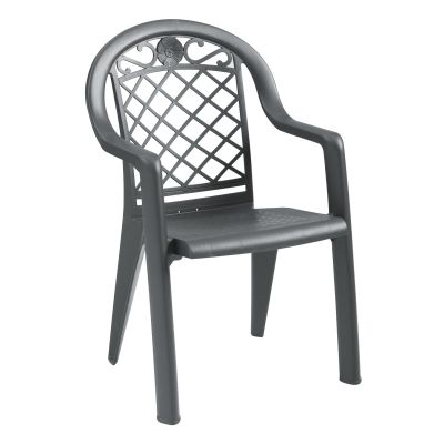 Chaise en résine avec appuis-bras Savannah - Charbon