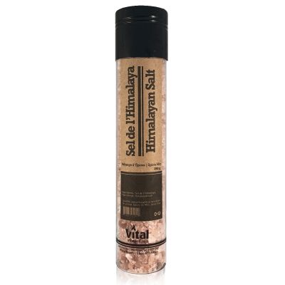 Sel de l’Himalaya 260 g