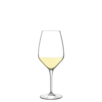 Set of Six 11.75 oz White Wine Glasses - Atelier