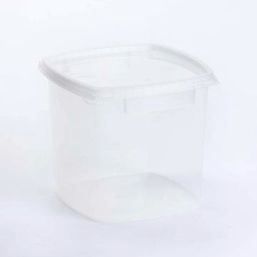 2.5 L Square Container and Lid Set