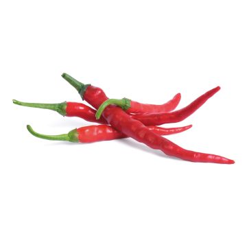 Veritable Lingot - Cayenne Hot Chili
