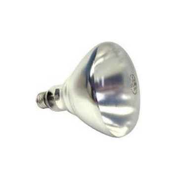375W Coated Heat Lamp Bulb