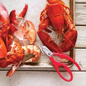 homard décortiqué sur une plaque de cuisson avec des ciseaux à fruits de mer de marque Ricardo