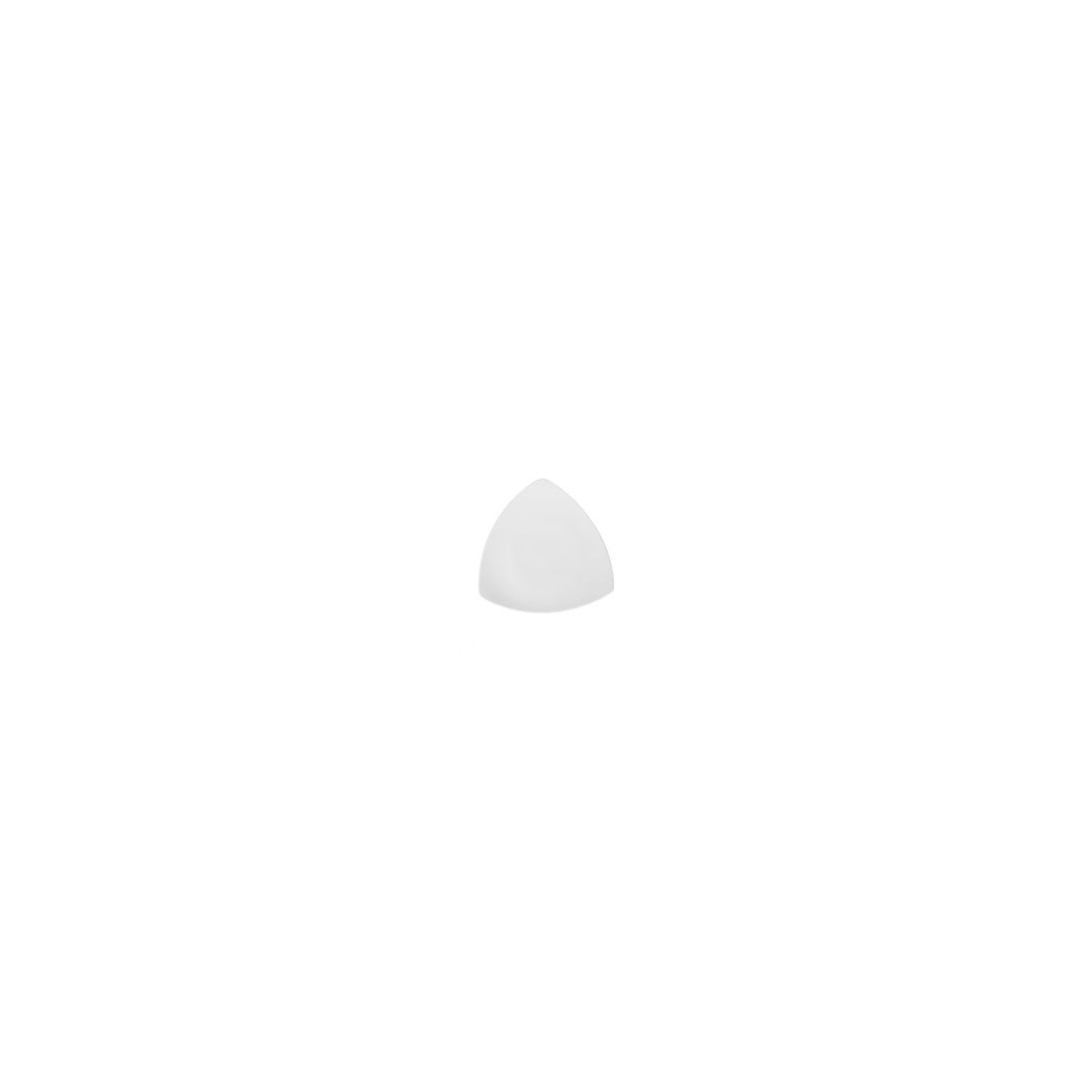 Assiette triangulaire 10,25" - Evolution