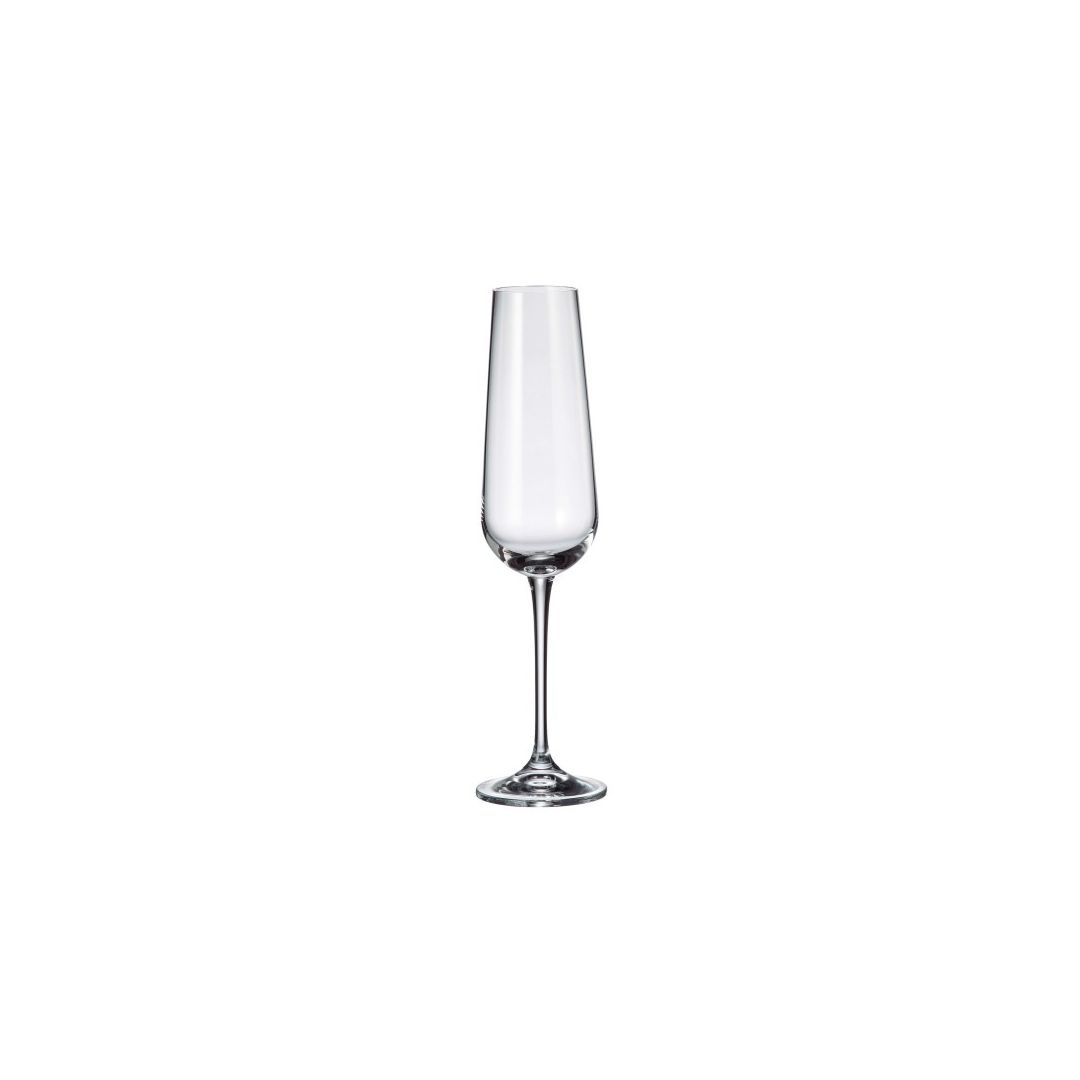 Ensemble de six flûtes à champagne 7,4 oz - Amundsen 