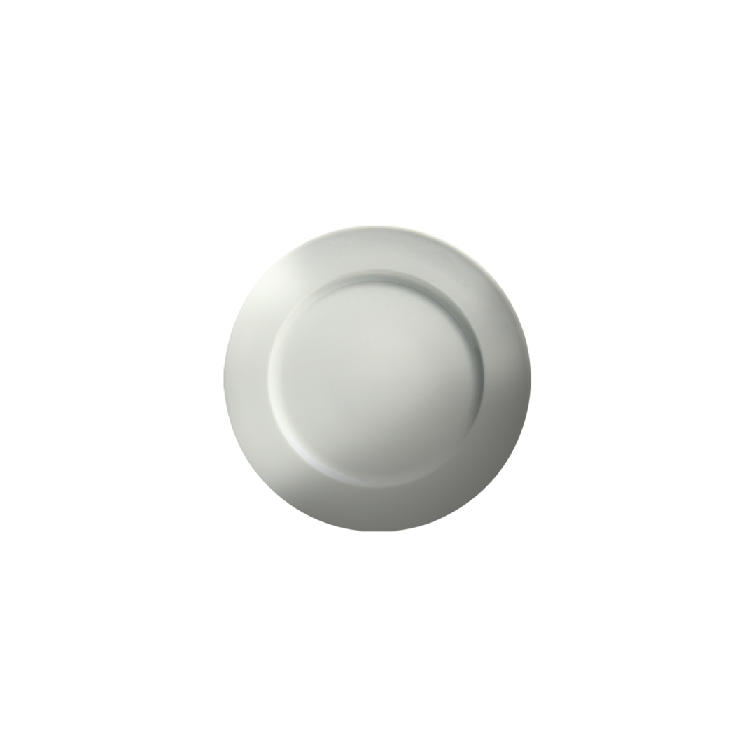 Assiette ronde 8,25" - Dynasty