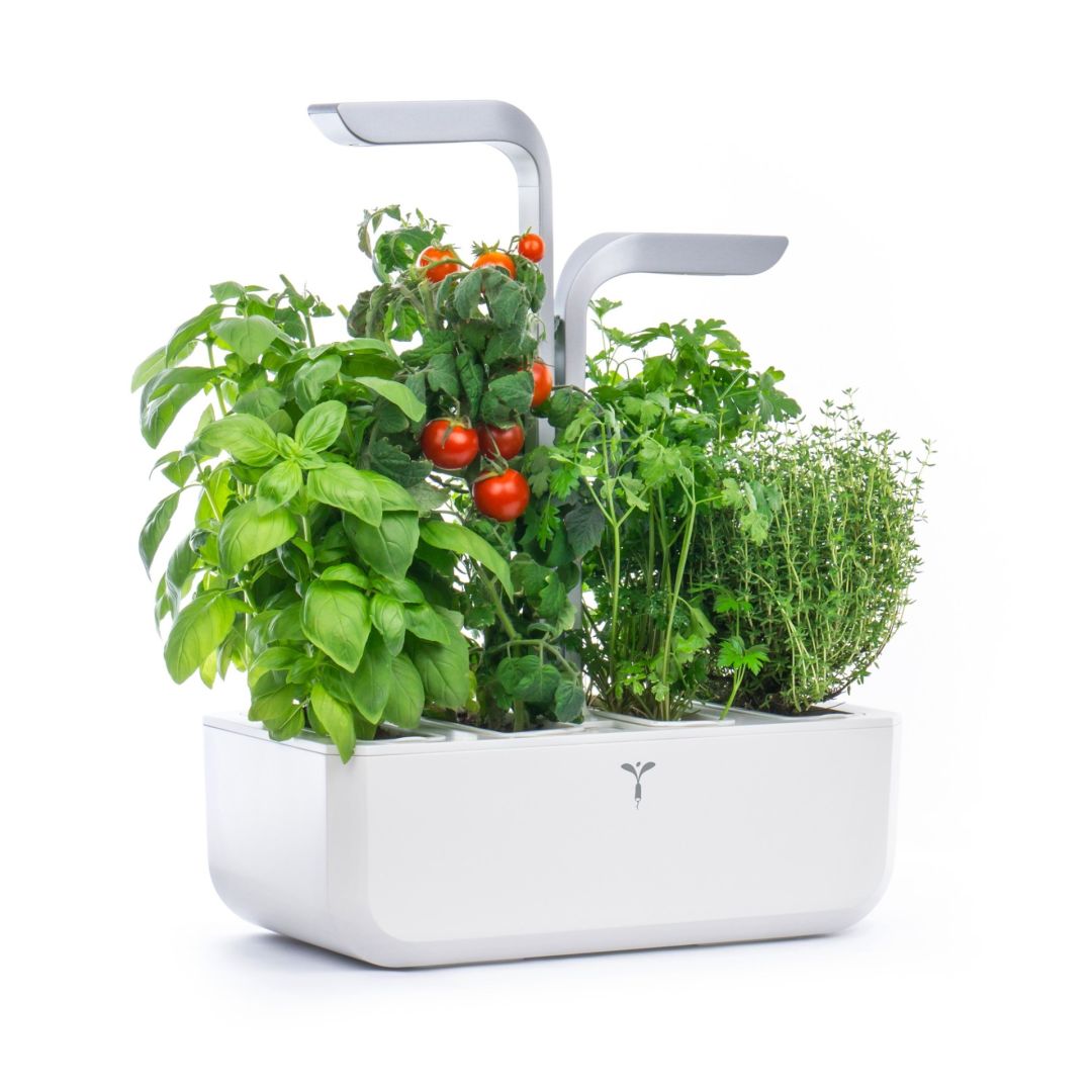 Jardin intérieur Véritable Smart - Blanc arctique