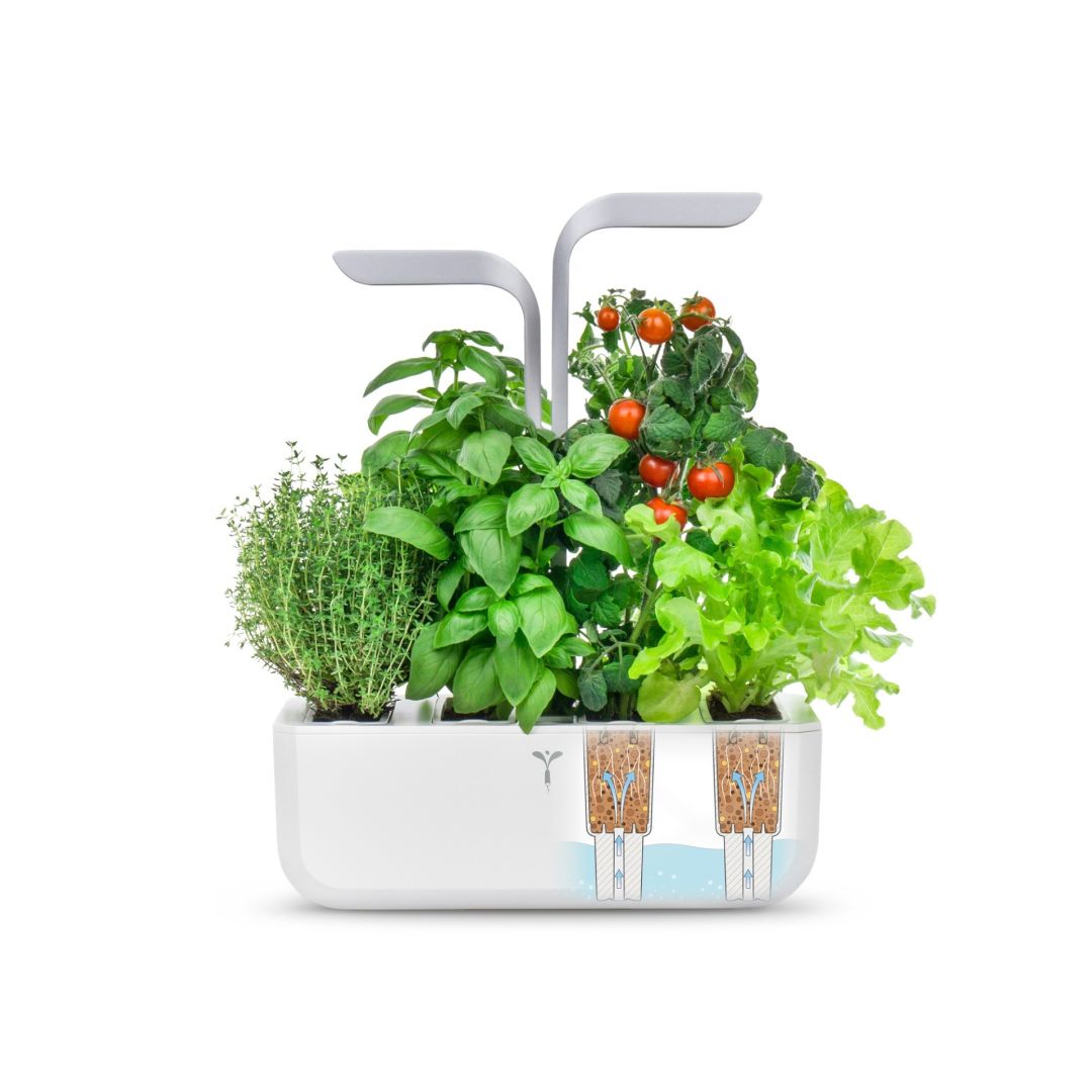 Jardin intérieur Véritable Smart - Blanc arctique