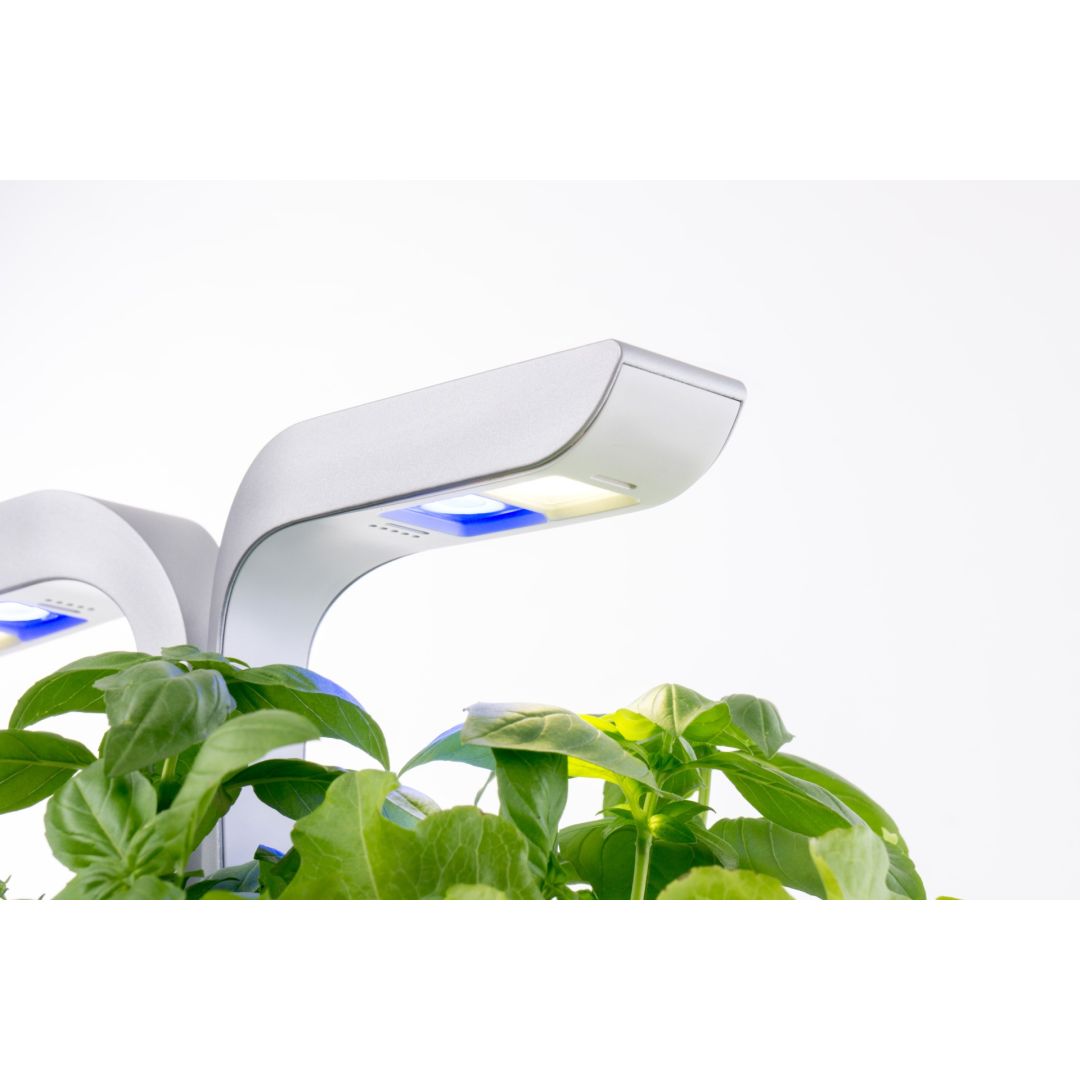 Jardin intérieur Véritable Smart - Blanc arctique