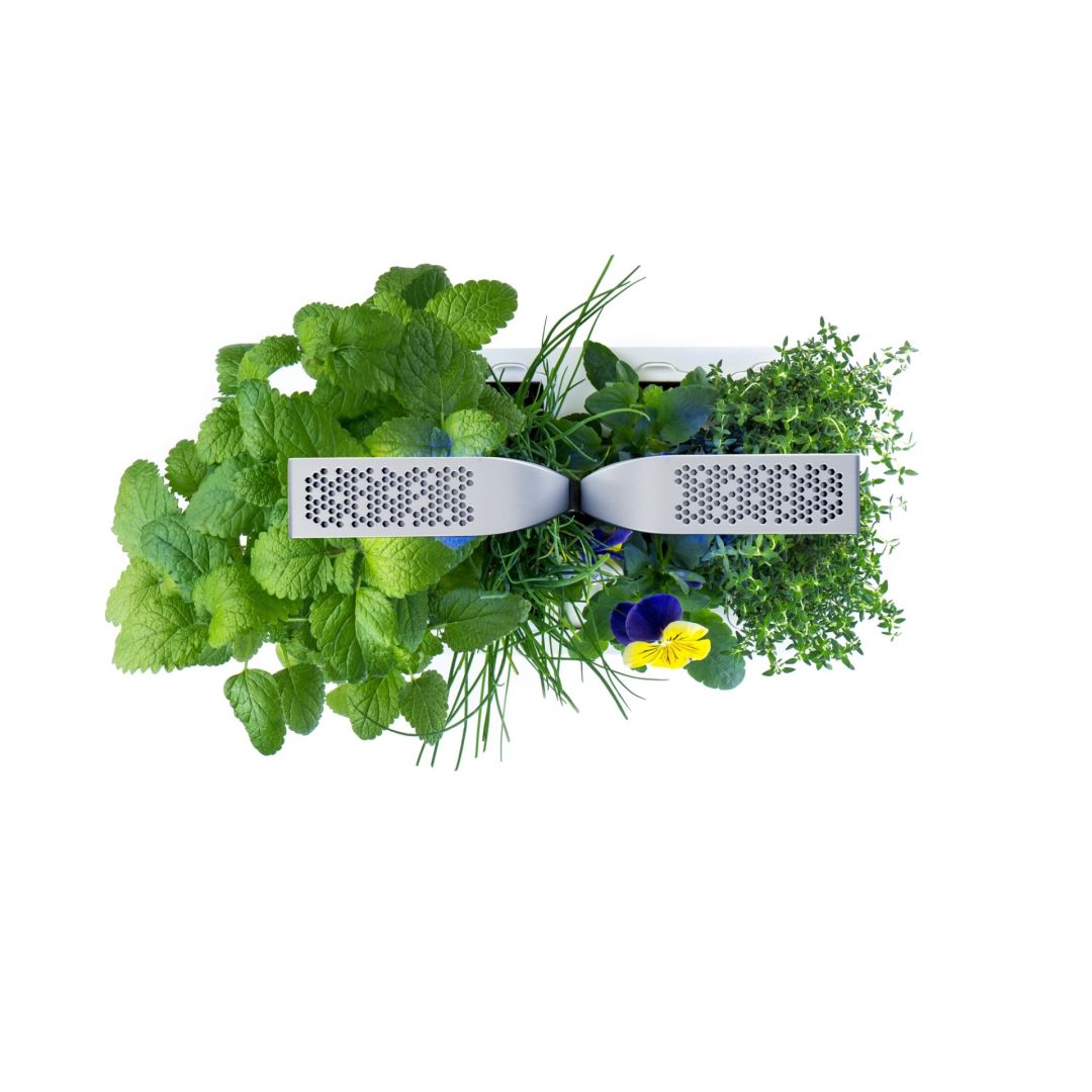 Jardin intérieur Véritable Smart - Blanc arctique