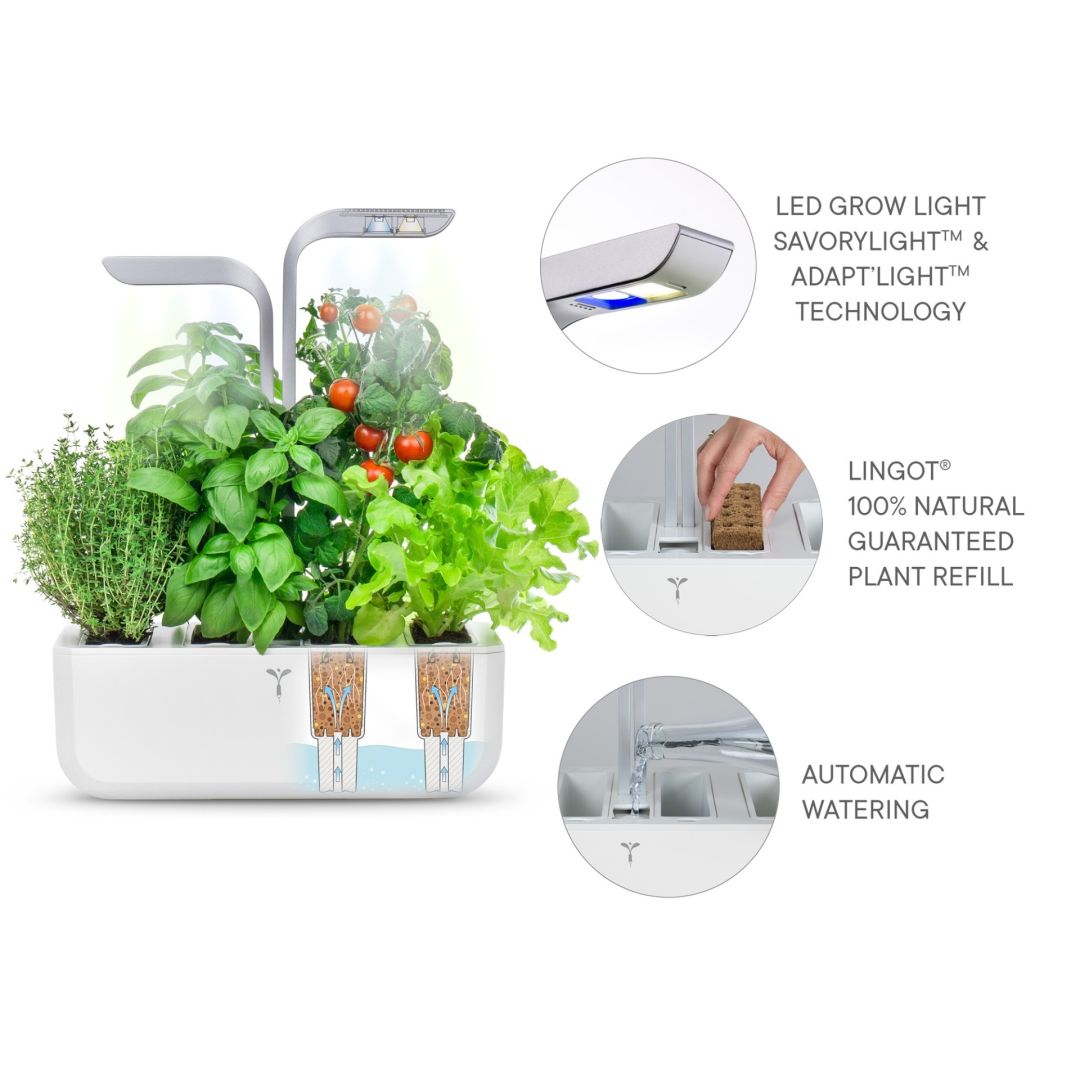 Jardin intérieur Véritable Smart - Blanc arctique