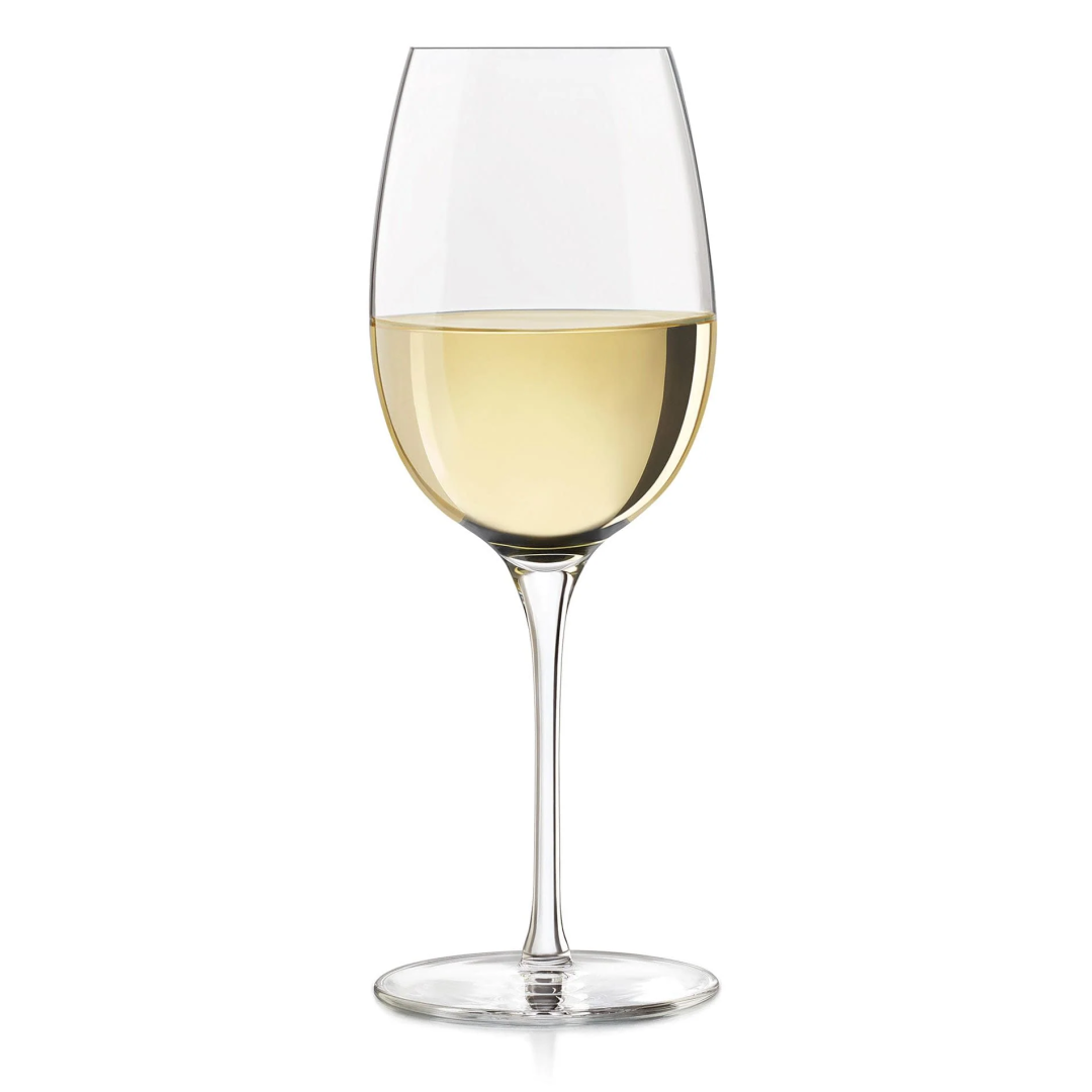Verre à vin rouge ou blanc 16 oz - Renaissance
