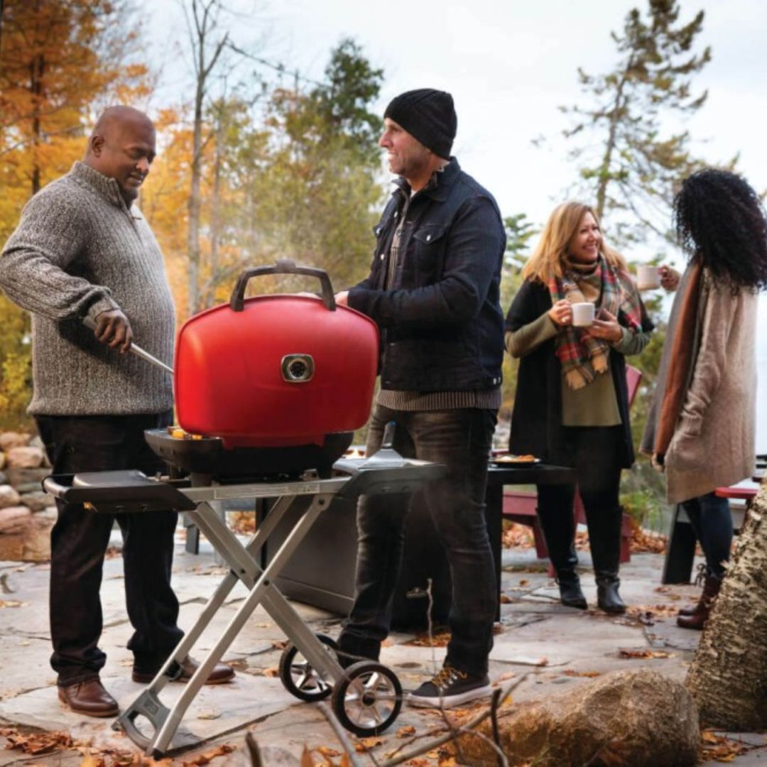 Portable BBQ grill TRAVELQ™ 285X red - Napoleon