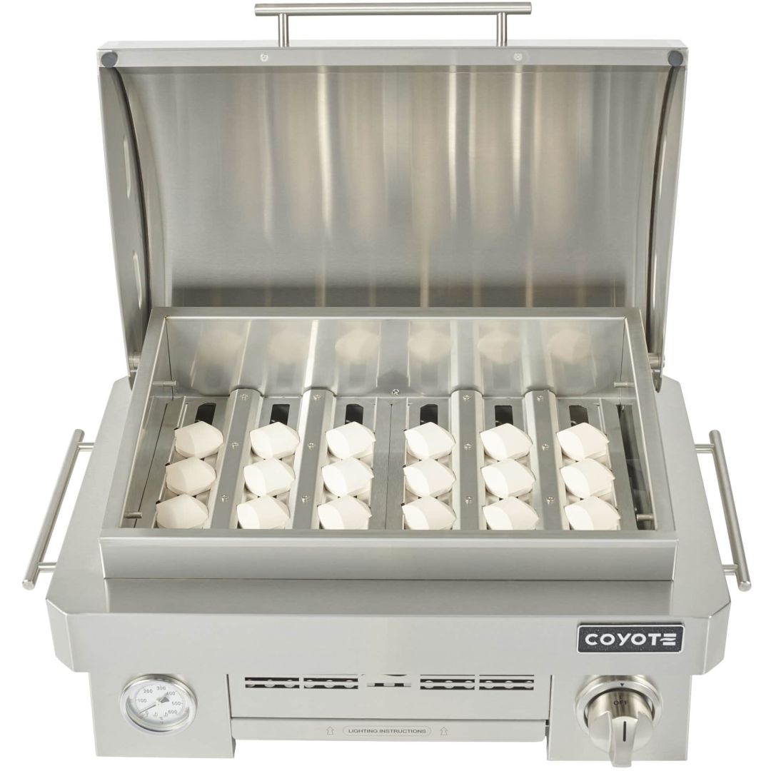 BBQ au gaz propane
