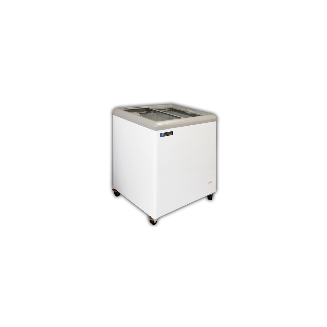 Display Freezer - 31"