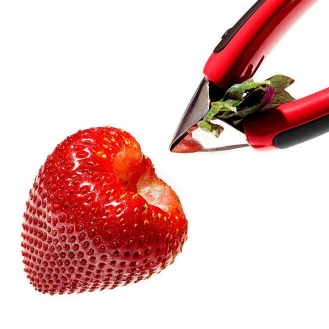 Décortiqueur de fraises  