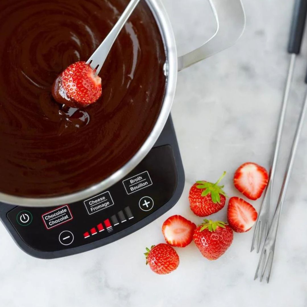 Ensemble à fondue électrique en acier inoxydable